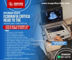 Diplomado en Ecografía Crítica Head toe 100% Virtual (Noviembre 2025)